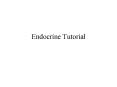 Endocrine Tutorial PowerPoint PPT Presentation
