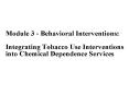 Module 3 - Behavioral Interventions: Integrating Tobacco Use Interventions into Chemical Dependence Services PowerPoint PPT Presentation