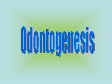 Odontogenesis