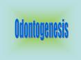 Odontogenesis PowerPoint PPT Presentation