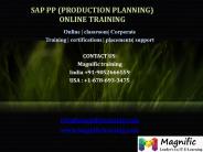 sap pp online training