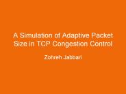 A Simulation of Adaptive Packet Size in TCP Congestion Control