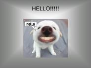 HELLO!!!!!