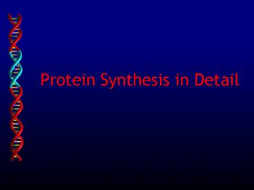 Protein Synthesis in Detail