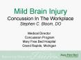 Mild Brain Injury Concussion In The Workplace Stephen C. Bloom, DO PowerPoint PPT Presentation
