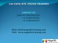 sap wm online training PowerPoint PPT Presentation