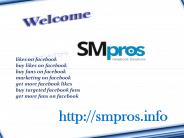 Purchase Facebook Likes