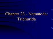 Chapter 23 - Nematoda: Trichurida
