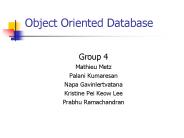 Object Oriented Database