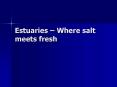 Estuaries  PowerPoint PPT Presentation