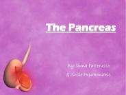 The Pancreas