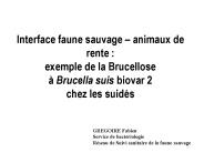 Interface faune sauvage 