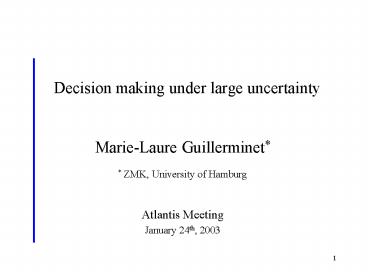 Decision making under large uncertainty