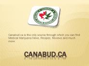 Medical Cannabis