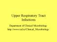 Upper Respiratory Tract Infections PowerPoint PPT Presentation
