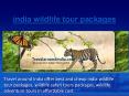 india wildlife tour packages