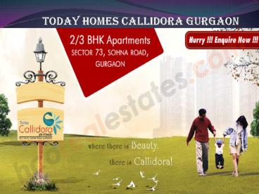 today callidora sector 73 gurgaon