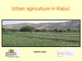 Urban agriculture in Kabul PowerPoint PPT Presentation