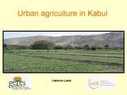 Urban agriculture in Kabul