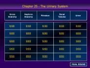 Chapter 25 - The Urinary System