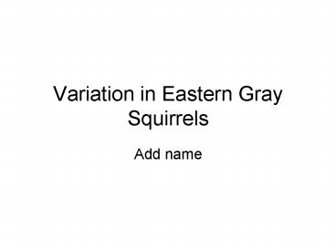 Variation in Eastern Gray Squirrels