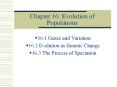 Chapter 16: Evolution of Populations PowerPoint PPT Presentation