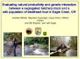 Evaluating natural productivity and genetic interaction PowerPoint PPT Presentation