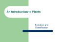 An Introduction to Plants PowerPoint PPT Presentation