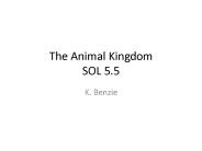 The Animal Kingdom SOL 5.5