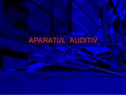 APARATUL AUDITIV