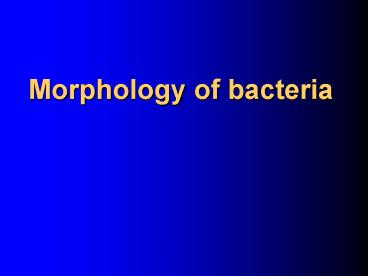 Morphology of bacteria