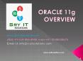 Oracle 11g Online Training | SRY IT Solutions Offers Best Online Training PowerPoint PPT Presentation