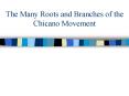 The Many Roots and Branches of the Chicano Movement PowerPoint PPT Presentation