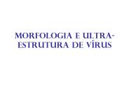 Morfologia e ultra-estrutura de v
