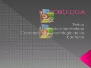 MICROBIOLOGIA