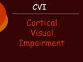 Cortical Visual Impairment PowerPoint PPT Presentation