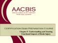 Chapter 5: Understanding and Treating Functional Impacts of Brain Injury PowerPoint PPT Presentation