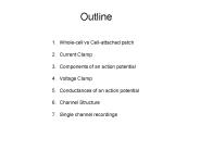 Whole-cell vs Cell-attached patch