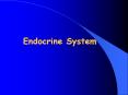 Endocrine System PowerPoint PPT Presentation