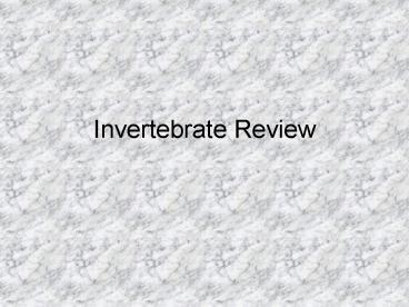 Invertebrate Review