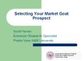 Selecting Your Market Goat Prospect PowerPoint PPT Presentation