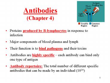 Antibodies (Chapter 4)