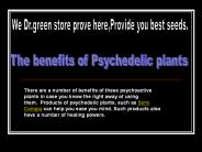 Vente Graines de cannabis