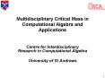 Multidisciplinary Critical Mass in Computational Algebra and Applications PowerPoint PPT Presentation