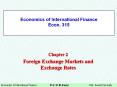 Economics of International Finance Econ. 315 PowerPoint PPT Presentation