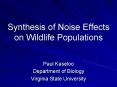 Synthesis of Noise Effects on Wildlife Populations PowerPoint PPT Presentation