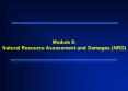 Module 9: Natural Resource Assessment and Damages (NRD) PowerPoint PPT Presentation