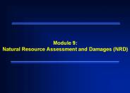 Module 9: Natural Resource Assessment and Damages (NRD)