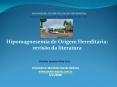Hipomagnesemia de Origem Heredit PowerPoint PPT Presentation