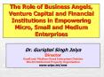 The Role of Business Angels, Venture Capital and Financial Institutions in Empowering Micro, Small and Medium Enterprises PowerPoint PPT Presentation